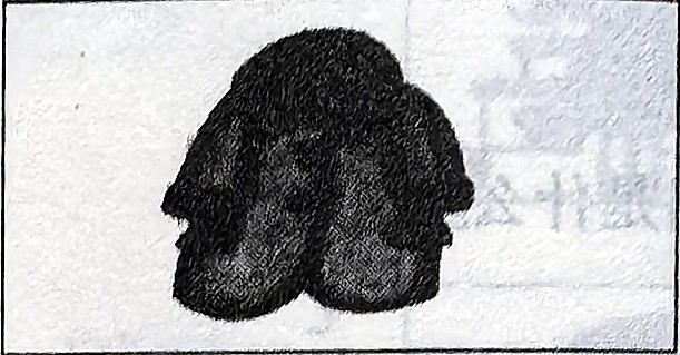 A coat; the printed colour cue is grey.