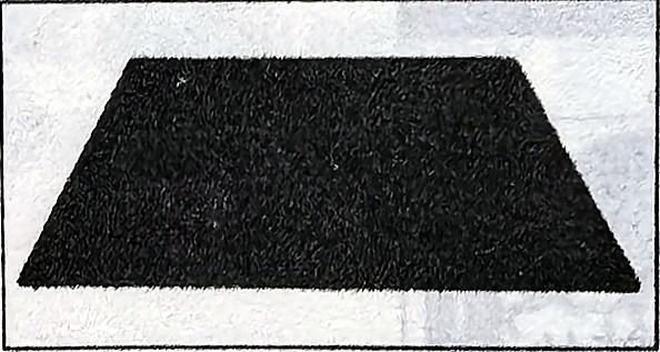 A carpet; the printed colour cue is red.