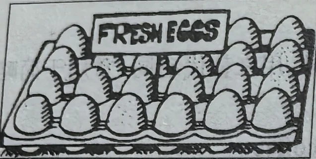 An egg carton labelled FRESH EGGS.