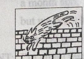 A cat jumps off a brick wall.