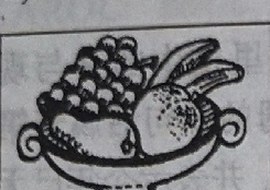 A bowl of mixed fruit: grapes, bananas, an orange and an apple.