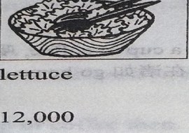 A salad bowl of lettuce with a spoon.